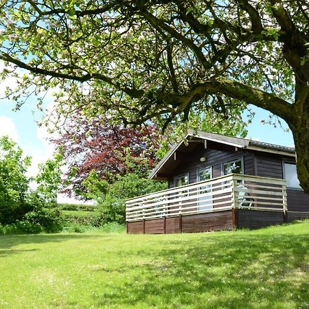 Avallon Lodges Launceston Bagian luar foto