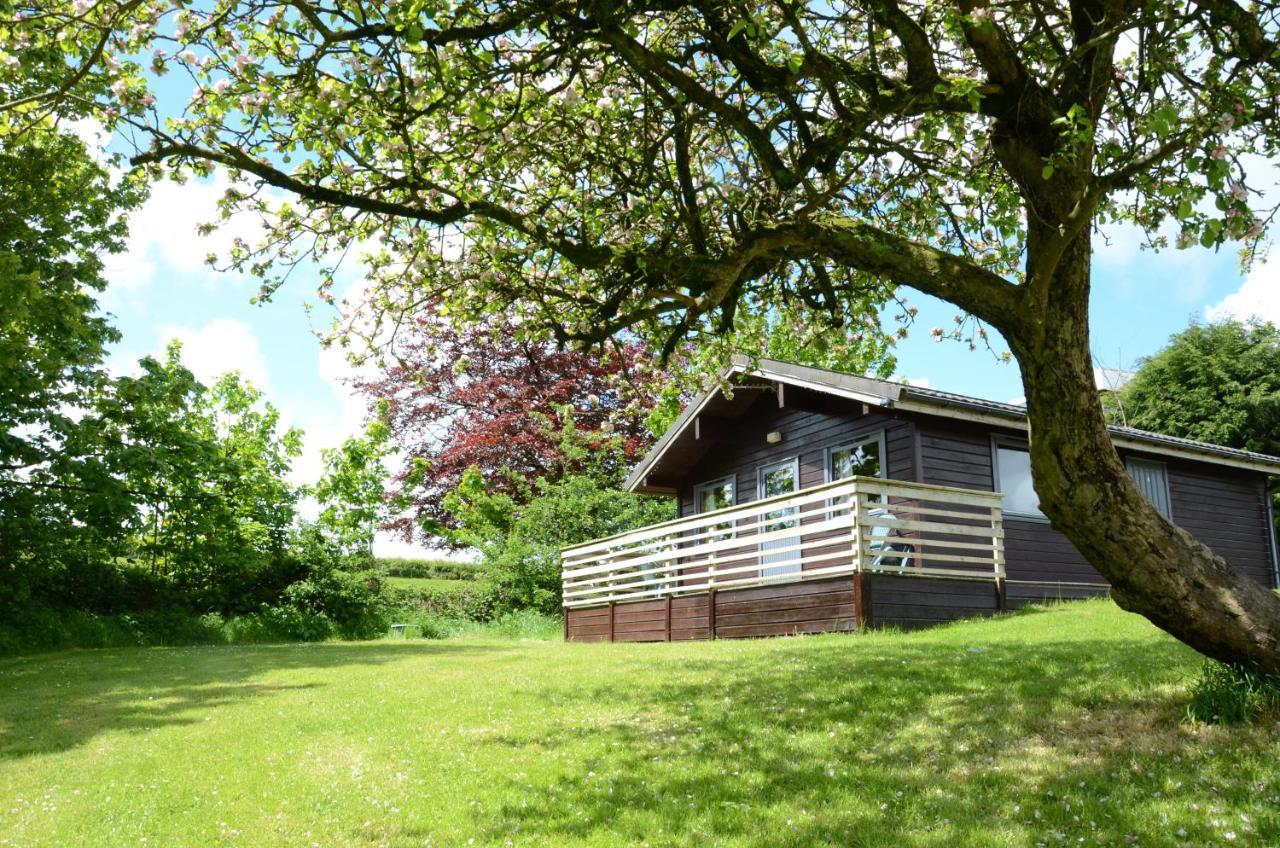 Avallon Lodges Launceston Bagian luar foto