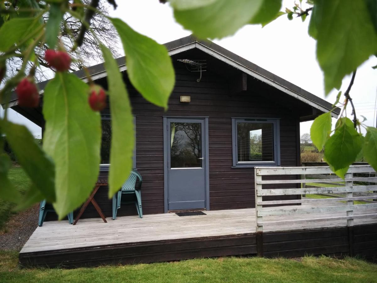 Avallon Lodges Launceston Bagian luar foto