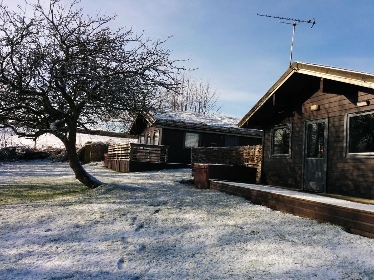 Avallon Lodges Launceston Bagian luar foto