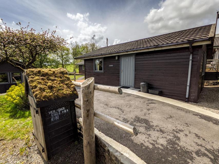 Avallon Lodges Launceston Bagian luar foto