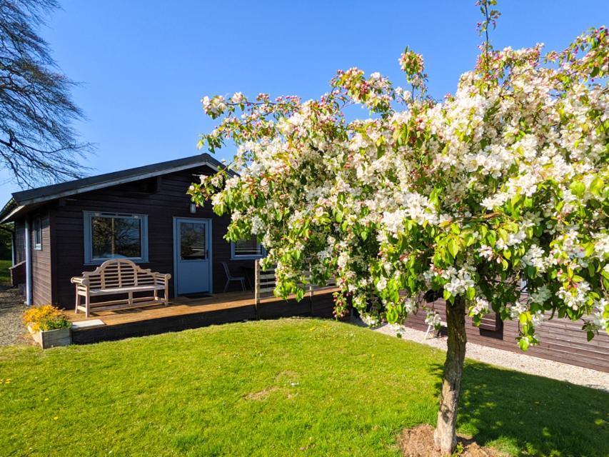 Avallon Lodges Launceston Bagian luar foto